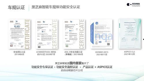 国产AB片,探索中国影视新纪元